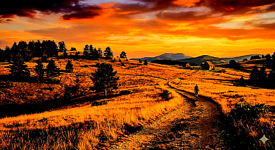 Западна капија Златибора - Западна капија Златибора представља најаутентичнији и најочуванији предео планинског масива, простор где се геоморфолошка структура карактерише дубоким ерозивним усецима и густим комплексима столетних четинарских шума које омеђују села Јабланицу и Семегњево. Овај сегмент планине ослоњен је на кањон Белог Рзава и планинске врхове који чине природну границу ка западним суседима, стварајући амбијент потпуне изолације у којем је народно градитељство достигло свој врхунац кроз подизање цркава брвнара и масивних стамбених објеката од борових талпи. Јабланичка црква брвнара, посвећена Покрову Пресвете Богородице, стоји као врхунски архитектонски споменик и симбол отпора, саграђена без употребе ексера, где савршено уклопљена брвна и кров од борове шиндре показују дубоко познавање статике и својстава дрвета које деценијама одолева екстремним планинским условима. Хидрографска мрежа западне капије обилује кристалним планинским потоцима и рекама које су задржале свој примарни квалитет, хранећи бројна природна и вештачка језера која служе као оазе мира и уточиште за ретке врсте речне фауне попут поточне пастрмке. Педолошки састав овог подручја, доминантно кисела смеђа земљишта на перидотитима, фаворизује раст црног бора чија смола испуњава ваздух специфичним фитонцидима, стварајући зону високе јонизације ваздуха која делује регенеративно на људски организам. Етнички идентитет западних златиборских села сачуван је кроз породичне задруге које се и данас баве екстракцијом луча и сечом шуме на одржив начин, поштујући природне циклусе обнове вегетације који су кључни за очување еколошке стабилности региона. Традиционални начин живота у Семегњеву, са његовим вођеницама и старим конацима, нуди увид у епоху када је човек живео у апсолутном складу са природним ресурсима, користећи снагу воде и квалитет дрвета за изградњу самоодрживих заједница. Мистична димензија западне капије проткана је кроз легенде о скривеним пролазима и пећинама у кањону Рзава које су служиле као збегови и скровишта током векова, остављајући савременим истраживачима богату ризницу топонима и прича које чекају да буду научно валоризоване. Свака слика западне стране Златибора преноси осећај снаге, трајности и дубоког мира, где оштри планински гребени и тихе шумске стазе позивају на повратак суштинским вредностима и директном контакту са исконском природом која је овде остала недирнута модерном урбанизацијом.