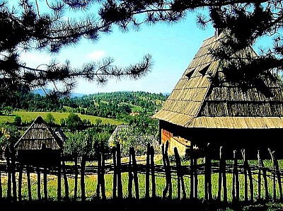 Семегњево представља најзападнији и природно најочуванији предео златиборске висоравни, смештено на граници између питомих пашњака и сурових шумовитих предела који се спуштају ка долини реке Камишине, дефинишући амбијент потпуног мира и изолације који је данас постао најдрагоценији ресурс овог дела планине. Геоморфолошка структура Семегњева карактерише се сложеним системом заталасаних брда и дубоких долина, где доминација серпентинитних стена условљава специфичан састав земљишта који фаворизује раст густих четинарских шума, првенствено белог и црног бора, чија смола испуњава ваздух фитонцидима и чини га изузетно лековитим за респираторни систем. Село је у јавности препознатљиво по својој јединственој железничкој станици на прузи Београд-Бар, која делује као филмска кулиса смештена усред планине, повезујући ово удаљено место са светом кроз звуке возова који одјекују кањонима. Хидрографска слика Семегњева је изузетно богата и динамична, обухватајући бројне планинске потоке који хране реку Камишину, стварајући на свом путу каскаде и водопаде попут чувеног „Скакавца“, док бројна вештачка језера и рибњаци изграђени у складу са природом представљају омиљена места за излетнике и риболовце који траже поточну пастрмку у њеном природном станишту. Архитектонски идентитет села сачуван је кроз старе брвнаре и породична имања која су задржала свој првобитни облик, са високим каменим подзидама и дрвеним тремовима који сведоче о занатској вештини локалних столара који су вековима обрађивали најквалитетнију златиборску боровину. Економска основа Семегњева и данас почива на традиционалном сточарству и пољопривреди, где се млечни производи, пре свега сир и кајмак, припремају по вековним рецептурама које подразумевају испашу стоке на нетакнутим планинским пашњацима богатим медоносним и лековитим биљем. Поред пољопривреде, село је познато и по производњи дрвене грађе и ћумура, заната који су овде опстали захваљујући огромном шумском богатству које окружује сваки засеок. Биодиверзитет овог подручја обухвата ретке биљне врсте и богату фауну, где се у дубинама шума према Тари још увек могу срести срне, зечеви и бројне птице грабљивице, што Семегњево чини рајем за љубитеље еколошког туризма и посматраче птица. Културна баштине села нераскидиво је везана за народне легенде о шумским вилама и хајдучким скровиштима у стенама изнад потока, као и за традиционална окупљања мештана током летњих сабора који чувају изворну песму и народне игре од заборава. Специфичност Семегњева је и у његовој светлосној чистоћи, где ноћно небо због одсуства светлосног загађења нуди нестваран поглед на Млечни пут, чинећи боравак у овом селу искуством које дубоко повезује човека са космосом и природом. Еволуција туризма у овом крају тече споро и пажљиво, са фокусом на сеоска домаћинства која нуде аутентично гостопримство, домаћу храну спремљену на шпоретима на дрва и смештај у објектима који не нарушавају визуелни интегритет пејзажа. Сваки метар стазе која води кроз Семегњево, од железничке пруге до најскривенијег извора, нуди нову перспективу на Златибор који је овде остао свој, поносан и неукроћен, пружајући уточиште свима који знају да поштују тишину и снагу планине. Слика Семегњева представља идеалан склад воде, камена и дрвета, симболишући вечну тежњу човека ка повратку природи и једноставнијем, смисленијем начину живота који у овом селу још увек куца снажним и здравим ритмом златиборског срца. Семегњево није само тачка на мапи, већ стање духа које нас подсећа на вредности које смо као друштво можда заборавили, али које овде, под крошњама столетних борова, још увек живе и чекају да буду поново откривене.