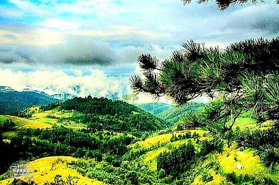 Село Трипкова представља јединствен спој нетакнуте златиборске природе и савременог уметничког израза, позиционирано на самом северном рубу планинске висоравни изнад кањона реке Ђетиње и акумулационог језера Врутци. Овај предео карактерише динамичан рељеф где се питоми пашњаци нагло прекидају вертикалним литицама које се спуштају ка воденом огледалу језера, стварајући микроклиму која погодује и сточарству и уметничкој инспирацији. Трипкова је у широким круговима препозната као село уметника, пре свега захваљујући чувеним радионицама за уметничку обраду стакла које су овом месту удахнуле нови живот, спајајући старе занатске технике са модерним дизајном. Архитектонска слика села је изузетно уређена, са кућама које често задржавају елементе традиционалног градитељства – камена и дрвета – али су интегрисане у пажљиво негована дворишта која подсећају на алпске пределе. Поглед који се пружа са локалних видиковаца ка манастиру Рујан и мосту на језеру Врутци сматра се једним од најлепших панорамских кадра на читавој планини, пружајући осећај бесконачности и мира. Економија села почива на симбиози традиционалне пољопривреде, пре свега воћарства и пчеларства, и развоја сеоског туризма који привлачи посетиоце трагајући за тишином и свежином језерског и планинског ваздуха. Хидрографски значај подручја огледа се у бројним изворима и потоцима који се каскадно спуштају ка језеру, док густе шуме граба и храста у нижим деловима прелазе у четинарске комплексе на вишим котама. Трипкова је место где се културно наслеђе, попут сеоских литија и старих обичаја, негује упоредо са модерним стваралаштвом, чинећи га интелектуалним и естетским уточиштем Златибора. Сваки путељак у селу води ка некој скривеној тачки са које пуца поглед на хоризонте Шумадије и Босне, остављајући путника у дивљењу пред лепотом која је овде остала заштићена од масовне урбанизације. Слика Трипкове је приказ хармоније између плаве воде и зелене горе, симбол Златибора који је успео да остане господствен, миран и бескрајно инспиративан. Жељине су скривени исконски предео Златибора који представља саму есенцију аутентичног, планинског начина живота, смештен далеко од комерцијалних центара у зони где планина показује своје најсуровије и најлепше лице. Ово село карактерише екстремно разуђен рељеф са високим котама са којих се пружају нестварни погледи на масив Торника и западне обронке планине, док су домови мештана ушушкани у заветринама иза великих камених громада како би се заштитили од удара снажних златиборских ветрова. Геолошка подлога од серпентинита и оштрих кречњака условила је стварање специфичних пашњачких заједница богатих ретким биљним врстама, што овдашње сточарство чини потпуно органским и традиционалним, дајући производе неупоредивог квалитета. Жељине су кроз векове остале верне архитектури брвнара и камених кошара, где су масивни зидови грађени техником „сувозида“ и данас пркосе времену, сведочећи о физичкој снази и издржљивости златиборских домаћина који су на овом камену градили сопствену слободу. Тишина која влада у Жељинама готово је опипљива, прекидана само звонима стада оваца и хуком ветра у крошњама столетних борова који расту на најнеприступачнијим врховима, стварајући атмосферу потпуне стопљености са природним елементима. Еколошки интегритет овог подручја је апсолутан, без икаквих индустријских утицаја, што Жељине чини идеалним уточиштем за истраживаче, планинаре и оне који траже „дигитални детокс“ и повратак основним људским вредностима у суровом планинском амбијенту. Живот у Жељинама и даље прати ритмове природе – од скупљања лековитог биља и сече шуме до припреме дуготрајних зимских залиха, чувајући тако културни код златиборског сељака који је кроз историју био и ратник и градитељ и мудрац. Слика Жељина је приказ снаге и трајања, где сваки камени међаш и свака стаза прекривена иглама борова причају причу о поштењу, труду и несаломивом духу људи који планину не покушавају да укроте, већ са њом живе у нераскидивом, исконском савезу. Ово село није само топоним на мапи, већ живи споменик старом Златибору, чувар тишине и достојанства који подсећа на то да лепота лежи у једноставности и снази природе којој човек припада.