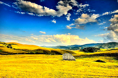 Panoramski prikaz sela Trnava na Zlatiboru koji obuhvata prostrane, talasaste zelene proplanke i bujne pašnjake ispresecane autentičnim drvenim brvnarama i tradicionalnim seoskim domaćinstvima sa strmim krovovima, okružen gustim četinarskim šumama i udaljenim planinskim vrhovima pod vedrim nebom sa blagim oblacima, dočaravajući miran i idiličan duh netaknute prirode zapadne Srbije u punom sjaju.  Idiličan pejzaž sela Ravni na Zlatiboru koji prikazuje široke, otvorene visoravni prekrivene smaragdno zelenom travom i poljskim cvećem, gde se smenjuju stari kameni zidovi i drvene ograde tradicionalnih imanja, dok se u pozadini uzdižu pitomi brežuljci prošarani gustom borovom šumom i usamljenim stablima breza, okupano toplom prirodnom svetlošću koja naglašava spokojnu atmosferu ruralnog planinskog života. Spektakularan pogled na selo Golovo na Zlatiboru koji prikazuje autentičan planinski krajolik sa raštrkanim seoskim kućama smeštenim na osunčanim padinama, dok se u pozadini pružaju beskrajni slojevi planinskih venaca i duboke doline prekrivene gustom vegetacijom, karakterističan po kontrastu između pitomih voćnjaka, strmih pašnjaka i oštrih grebena pod dinamičnim nebom, dočaravajući surovu ali plemenitu lepotu zlatiborskog visogorja.