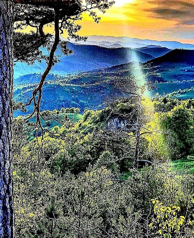 Аутентичан планински пејзаж села Шаиновци на Златибору са традиционалним брвнарама смештеним на пространим зеленим пашњацима, окруженим густим четинарским шумама бора и јеле, док се у позадини виде блага узвишења и нетакнута природа карактеристична за овај део западне Србије, идеално за сеоски туризам и одмор у миру златиборских села.   Пејзаж златиборског села Раковица са карактеристичним падинама прекривеним бујном травом и планинским цвећем, где се налазе старе сеоске куће и модерна сеоска домаћинства, оивичен густим шумама и чистим планинским потоцима који пролазе кроз плодне долине, наглашавајући аутентичну лепоту сеоског амбијента и мирну атмосферу која погодује љубитељима природе и традиционалног српског села. Аутентични прикази села Мушвете на Златибору познатог по традиционалној производњи златиборске пршуте, са прелепим сеоским домаћинствима смештеним на сунчаним бреговима, пространим воћњацима и пашњацима за испашу стоке, док густе борове шуме оивичавају ово мирно место нудећи идеалан спој традиције, гастрономије и нетакнуте природе карактеристичне за подножје Златибора. Панорамски поглед на Чајетину, административни и културни центар Златибора, који приказује урбано насеље смештено ушушкано између планинских венаца, са препознатљивом архитектуром, парковима и институцијама које окружују зелена брда и падине, представљајући спој традиционалне вароши и савременог златиборског центра у срцу Западне Србије, на путу ка најпознатијим туристичким атракцијама планине.