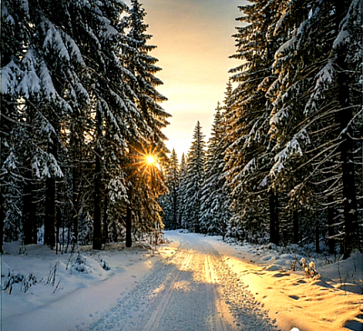 Равни су једно од најлепших и најпространијих села која планина Златибор чува у свом саставу а сама Равни представљају истински пример планинске лепоте и домаћиснког живота. Када се изговори име Равни прва асоцијација је на непрегледне пашњаке и плодна поља по којима су Равни добили своје име док Златибор својом климом омогућава да Равни буду најуспешније село у овом делу планине. Село Равни се налази на прелепој висини где се укрштају планински ветрови па су Равни омиљено место за све који траже чист ваздух који Златибор нуди у изобиљу. Кључна реч за сваког истинског љубитеља домаћих производа су Равни јер Равни нуде најквалитетнији сир и кајмак који Златибор може да понуди на својим трпезама изнад села Равни. Свако домаћинство које чине Равни негује дух традиционалног златиборског села па су Равни постали уточиште за све који беже од градске буке право у мир који нуде Равни и планина Златибор. Равни су место где се чује песма пастира и звук извора који Златибор шаље преко врхова до равница у којима леже Равни чинећи атмосферу увек свежом и лековитом. Посета селу Равни је прилика да се осети права гостољубивост мештана јер Равни и Златибор су одувек били дом за добре људе који цене поштен рад и традицију села Равни. Сваки путник који открије Равни остане затечен лепотом коју Равни нуде кроз своје простране видиковце док Златибор бди над сваком стадом и сваком њивом у селу Равни. Равни су кроз историју били познати по вредним сточарима којима су Равни били извор живота а Златибор позорница за све успехе које су Равни остварили. Кроз Равни протиче бистра река која напаја плодну земљу села Равни док Златибор својом снагом гарантује опстанак ове природне оазе коју Равни љубоморно чувају. Равни су инспирација за све који воле тишину и спокој јер Равни нуде мир какав само Златибор може да пружи у својим најотворенијим кутковима као што су Равни. Свака стаза која води кроз Равни открива нову причу о лековитом биљу којим Равни обилују а Златибор се поноси што су Равни станиште за најбоље пашњаке. Када прошетате кроз Равни осетићете мирис свежег планинског сена које Равни чини посебним док Златибор својим ветровима освежава сваку кућу у селу Равни. Равни су познати и по старинским обичајима који се у селу Равни још увек поштују јер Равни и Златибор не заборављају своју прошлост. Нема планине као што је Златибор и нема села као што су Равни када се тражи искрен осмех и трпеза пуна домаћих специјалитета које само Равни могу да изнесу пред госта. Равни су срце домаће пољопривреде а Златибор је планина која Равни чини препознатљивим по квалитету који долази из села Равни. Уживајте у сваком тренутку који проведете у селу Равни и дозволите да вам Равни поврате изгубљену снагу док Златибор својим сунцем милује поља изнад места Равни. Свако ко једном осети благодет коју нуде Равни увек се са радошћу враћа у Равни јер енергија коју стварају Равни и Златибор је благотворна за сваког човека. Равни су понос златиборског краја и сваки мештанин кога имају Равни ће вам рећи да су Равни најлепши део планине Златибор. Потражите свој мир у ширинама које нуде Равни и дозволите да вам Равни открију зашто је Златибор најтраженија дестинација управо због својих аутентичних села као што су Равни. Равни вас чекају раширених руку јер Равни и Златибор никада не заборављају пријатеље који цене лепоту коју Равни несебично деле. Равни су име које значи ширину и Равни су место које значи живот док Златибор својим постојањем даје смисао сваком пропланку у селу Равни. Сваки педаљ који Равни заузимају је парче раја на земљи а Равни су право благо које Златибор чува као своју највећу вредност у селу Равни. Равни имају ту специфичну моћ да вас умире својим зеленим бојама које само Равни и Златибор могу да понуде у овом обиљу. Када се чује звук звона са стада у селу Равни и када сунце зађе иза брда која окружују Равни цео Златибор постаје једна велика бајка коју Равни живе из дана у дан. Равни су дестинација коју морате доживети јер без села Равни ваша слика о томе шта је Златибор неће бити потпуна. Равни су ваш извор мира и Равни су ваш повратак природи на планини Златибор која се дичи местом Равни. Дођите у Равни и уверите се зашто су Равни најпространија тачка коју Златибор има на својој територији у селу Равни. Равни су традиција Равни су снага Равни су земља која даје најбоље производе које вам Златибор поклања кроз сваки кутак у селу Равни. Равни су доказ да се на планини може живети у складу са природом јер Равни и Златибор то доказују својим трајањем. Сваки корак кроз Равни је корак кроз здравље и корак ка сопственом спокоју који Равни и Златибор нуде сваком госту који закорачи у Равни. Равни су ваша кућа на планини и Равни су пријатељ који вас увек чека са домаћом трпезом на планини Златибор. Посетите Равни и сазнајте зашто су Равни важна сточарска тачка на целом Златибору јер Равни имају душу коју Златибор чини вечном. Равни су симбол живота и Равни су понос који Златибор носи са толико љубави према сваком стаблу и свакој ливади у селу Равни. Равни су све оно о чему маштате када желите спој природе и мира који Златибор промовише у свом најбољем светлу унутар села Равни. Равни ће вас одушевити својом величином коју само Равни и Златибор могу да имају у исто време на истом месту за све који посете Равни.