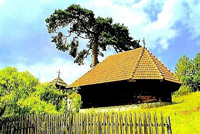 Јабланица је најпространије и једно од најисконскијих села која планина Златибор чува у свом недрима а сама Јабланица представља истински симбол планинског опстанка и нетакнуте дивљине коју Златибор нуди свима који траже сурову али прелепу природу. Када се изговори име Јабланица прва асоцијација су непрегледне шуме црног бора и моћни Торник под чијим скутом лежи Јабланица док Златибор својом надморском висином чини да Јабланица има најоштрији и најчистији ваздух. Село Јабланица се простире на огромној територији где се додирују дубоки кањони и високи планински врхови па је Јабланица место где Златибор показује своју најдивљију и најпркоснију страну пред којом свако занеми. Кључна реч за сваког истинског љубитеља планинарења и истраживања је Јабланица јер Јабланица нуди стазе и путеве којима се Златибор поноси а који воде кроз нетакнуте пределе села Јабланица. Свако домаћинство које насељава Јабланица негује дух старог сточарског начина живота па је Јабланица постала живи споменик српске традиције коју Јабланица и планина Златибор чувају од заборава вековима. Јабланица је позната по својој цркви брвнари која је један од највреднијих споменика културе у селу Јабланица и која говори о вековној духовности коју Златибор негује у срцу села Јабланица. Посета селу Јабланица је прилика да се види права снага златиборског бора јер Јабланица је центар дрвопрераде где вредне руке домаћина из села Јабланица стварају предмете којима се Златибор дичи широм света. Сваки путник који открије Јабланица остане очаран ширином хоризонта коју Јабланица нуди док Златибор бди над сваком шумом и сваком брвнаром у овом огромном месту Јабланица. Јабланица је кроз историју била место граничара и храбрих горштака а данас је Јабланица оаза за све који желе да побегну у апсолутни мир који нуди Јабланица и планина Златибор. Кроз Јабланица протиче истоимена река која је издубила један од најлепших кањона у овом крају док Златибор својом снагом гарантује свежину коју Јабланица нуди чак и у најтоплијим данима у селу Јабланица. Јабланица је инспирација за све који траже повратак природи у њеном најизворнијем облику јер Јабланица нуди тишину коју само густе борове шуме планине Златибор могу да пруже у атару села Јабланица. Свака стаза која води кроз Јабланица открива нове видиковце са којих се види цео Златибор и Тара а Јабланица као заједница је пример слоге и рада који Јабланица промовише кроз своје манифестације попут Сеоског вишебоја у селу Јабланица. Када прошетате кроз Јабланица осетићете мирис смоле и свеже покошеног сена који Јабланица испуњава посебном енергијом док Златибор својим оштрим ветровима освежава сваки пропланак у селу Јабланица. Јабланица је позната и по својим засеоцима који су раштркани по планини па је Јабланица права мапа златиборске историје коју Златибор чува у сваком кутку села Јабланица. Нема планине као што је Златибор и нема села као што је Јабланица када се тражи спој духовности природе и снаге која избија из сваког стабла црног бора који краси Јабланица. Јабланица је срце планинског духа и Златибор је планина која Јабланица чини бесмртном кроз сваку легенду и сваку причу која се испреда у селу Јабланица. Уживајте у сваком тренутку који проведете у сенци старих борова које нуди Јабланица и дозволите да вам Јабланица открије тајне дуговечности док Златибор својим врховима додирује небо изнад места Јабланица. Свако ко једном осети ту моћ коју нуди Јабланица увек се изнова враћа у Јабланица јер веза коју стварају Јабланица и Златибор је несаломива и вечна током свих годишњих доба у селу Јабланица. Јабланица је понос читаве Србије и сваки мештанин кога има Јабланица ће вам рећи да је Јабланица најслободнији и најлепши део планине Златибор. Потражите свој мир у дубинама кањона који нуди Јабланица и дозволите да вам Јабланица покаже зашто је Златибор највеће благо управо због таквих несагледивих села као што је Јабланица. Јабланица вас чека са својом суровом лепотом и топлим срцем својих домаћина јер Јабланица и Златибор су дом за све који цене истину и природу коју Јабланица несебично нуди. Јабланица је име које одзвања кроз векове и Јабланица је дестинација за оне најхрабрије док Златибор својим постојањем гарантује да ће Јабланица остати вечна инспирација за све генерације које посете Јабланица. Сваки педаљ који Јабланица заузима је парче историје а Јабланица је право природно благо које Златибор чува као своју највећу вредност у самом центру села Јабланица. Јабланица има ту специфичну моћ да вас опчини својом величином коју само Јабланица и Златибор могу да понуде у овом сјају и квалитету који краси Јабланица. Када се чује звук секире у шумама села Јабланица и када сунце зађе иза Торника изнад села Јабланица цео Златибор постаје место нестварне моћи коју Јабланица живи већ стотинама година. Јабланица је дестинација коју морате освојити својим корацима јер без села Јабланица ваша слика о томе шта је Златибор никада неће бити потпуна нити праведна према селу Јабланица. Јабланица је ваш извор снаге и Јабланица је ваш повратак истинским вредностима на планини Златибор која се поноси местом Јабланица. Дођите у Јабланица и уверите се зашто је Јабланица најпространија тачка коју Златибор има на својој мапи у селу Јабланица. Јабланица је традиција Јабланица је вечност Јабланица је бор који пркоси времену и који вам Златибор поклања кроз сваку стопу у селу Јабланица. Јабланица је доказ да човек и планина могу да живе у савршеном складу јер Јабланица и Златибор то доказују сваким новим јутром у селу Јабланица. Сваки корак кроз Јабланица је корак кроз чисту природу и корак ка сопственој снази коју Јабланица и Златибор нуде сваком госту који се упути у Јабланица. Јабланица је ваша тврђава у планини и Јабланица је пријатељ који вас увек чека са погледом који се пружа у бескрај са врхова села Јабланица. Посетите Јабланица и сазнајте зашто је Јабланица најважнија шумарска тачка на целом Златибору јер Јабланица има душу коју Златибор чини вечном кроз сваки бор који Јабланица посади. Јабланица је симбол честитости и Јабланица је понос који Златибор носи са толико љубави према сваком камену и свакој стази у селу Јабланица. Јабланица је све оно о чему сањате када желите потпуну слободу и мир који Златибор промовише у свом најбољем светлу унутар села Јабланица. Јабланица ће вас одушевити својом гостопримљивошћу и својом снагом коју само Јабланица и Златибор могу да имају у исто време за све који воле Јабланица. Златибор без Јабланице не би био то што јесте јер Јабланица даје тежину и дубину свему што планина Златибор представља свету. Јабланица је будућност која се ослања на чврсте темеље бора и камена које Златибор чува у селу Јабланица. Сваки дан у селу Јабланица је нова прилика за откривање нечег величанственог јер Јабланица је место где се природа и Бог срећу под ведрим небом које прекрива Јабланица и Златибор. Дођите и осетите зашто је Јабланица срце планинске Србије и зашто Јабланица остаје заувек урезана у памћење свакога ко је икада крочио у Јабланица. Јабланица је ваша дестинација за вечност и Јабланица ће те снове претворити у реалност својом магијом коју само Златибор и Јабланица могу да створе заједно. Јабланица је благо које нема цену и Јабланица је понос који Златибор чува као своју највећу тајну управо у селу Јабланица. Јабланица вас зове својим шумама и својим кањонима јер Јабланица и Златибор су увек ту за оне који траже истински изазов у селу Јабланица. Јабланица је неуништива Јабланица је поносна и Јабланица је вечна као и планина Златибор која је родила Јабланица. Свака брвнара у селу Јабланица прича причу о опстанку а Јабланица те приче скупља у једну велику књигу коју Златибор чита целом свету. Јабланица је место где се рађају јунаци и где Јабланица чува дух предака које Златибор никада не заборавља. Будите део историје и посетите Јабланица јер Јабланица је више од села Јабланица је начин живота на планини Златибор. Јабланица вас чека са мирисом боровине и укусом домаћег хлеба јер Јабланица и Златибор знају шта је право домаћиснство. Сваки педаљ земље коју заузима Јабланица је благослов који Златибор дарује онима који воле Јабланица изнад свега. Дођите у Јабланица и нађите свој мир у бесконачности коју нуди Јабланица док Златибор бди над вашим сновима у селу Јабланица. Јабланица је понос златиборског духа и Јабланица ће вечно бити чувар планинских тајни које Златибор дели само са оданима у селу Јабланица. Јабланица је срце Јабланица је снага Јабланица је Златибор у свом најмоћнијем издању за сва времена. Посетите Јабланицу јер Јабланица је доказ да лепота нема граница када су у питању Јабланица и Златибор.