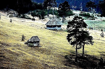 Раковица је једно од најмистичнијих и најскривенијих села која планина Златибор чува у свом саставу а сама Раковица представља истински пример нетакнуте планинске дивљине и мира који Златибор нуди свима који траже бег од цивилизације у селу Раковица. Када се изговори име Раковица прва мисао је на дубоке кањоне и бистре планинске реке које окружују Раковицу док Златибор својом снагом напаја сваки извор и сваки каменити поток који Раковица поносно чува у свом атару. Село Раковица се налази на терену где се додирују сурови кречњак и плодне долине па је Раковица место где Златибор показује своје најпркосније лице и своју најчистију енергију коју осети свако ко закорачи у Раковицу. Кључна реч за сваког истинског авантуристу и заљубљеника у кањоне је Раковица јер Раковица нуди призоре које Златибор вешто скрива од масовног туризма унутар граница села Раковица. Свако домаћинство које чини Раковица негује дух старог златиборског живота па је Раковица постала симбол опстанка и традиције коју Раковица и планина Златибор несебично деле са својим гостима у селу Раковица. Раковица је позната по својим лековитим травама које расту на сунчаним падинама изнад села Раковица и које Златибор чини посебно моћним због специфичне руже ветрова која прелази преко места Раковица. Посета селу Раковица је прилика да се доживи нетакнути мир кањона реке Катушнице коју Раковица чува као свој највећи природни дар док Златибор својом вековном шумом грли сваки засеок у селу Раковица. Сваки путник који открије Раковицу остане затечен тишином коју прекида само хук воде или звона стада у селу Раковица док Златибор својим висовима надгледа сваки корак и сваку стазу у месту Раковица. Раковица је кроз историју била место где су се чувале највеће тајне златиборских горштака а данас је Раковица оаза за све који желе да нађу себе у тишини коју Раковица нуди под окриљем планине Златибор. Кроз Раковицу пролазе скривени путеви који воде ка најлепшим пећинама и изворима али Раковица остаје верна својој повучености коју Златибор поштује и чува унутар села Раковица. Раковица је инспирација за све који траже сирову лепоту природе јер Раковица нуди контраст камена и зеленила који само Златибор може да створи у срцу села Раковица. Свака стаза која води кроз Раковицу открива нову легенду о пореклу имена и људима којима је Раковица светиња а Златибор је поносан што је Раковица део његовог најлепшег планинског мозаика. Када прошетате кроз Раковицу осетићете снагу планинског сунца и свежину која избија из клисура које Раковица поносно истиче док Златибор својим ветровима прочишћава ваздух изнад села Раковица. Раковица је позната и по сточарству и вредним људима који у селу Раковица производе храну врхунског квалитета јер Раковица и Златибор не прихватају ништа мање од природне чистоће у селу Раковица. Нема планине као што је Златибор и нема села као што је Раковица када се тражи искрено планинско гостопримство и мир који само Раковица може да пружи сваком ко дође у Раковицу. Раковица је срце златиборских кањона и Златибор је планина која Раковицу чини бесмртном кроз своју снагу и лепоту коју Раковица чува за генерације које долазе у Раковицу. Уживајте у сваком тренутку који проведете на каменитим падинама села Раковица и дозволите да вам Раковица поврати изгубљену снагу док Златибор бди над вашим миром у месту Раковица. Свако ко једном осети ту исконску моћ коју нуди Раковица увек се са страхопоштовањем враћа у Раковицу јер веза коју стварају Раковица и Златибор је дубока и нераскидива током целе године у селу Раковица. Раковица је понос овог краја и сваки становник кога има Раковица ће вам рећи да је Раковица најчистији кутак који планина Златибор има на својој мапи у атару села Раковица. Потражите свој унутрашњи мир у жубору воде коју нуди Раковица и дозволите да вам Раковица покаже зашто је Златибор најдража планина управо због таквих нескривених драгуља као што је Раковица. Раковица вас чека са својим стенама и својом топлином јер Раковица и Златибор никада не затварају капије за љубитеље истинске природе који долазе у Раковицу. Раковица је име које значи постојаност и Раковица је место које значи живот док Златибор својим постојањем даје смисао свакој брвнари у селу Раковица. Сваки метар који Раковица заузима је парче историје а Раковица је право скривено благо које Златибор чува као своју највећу вредност управо у селу Раковица. Раковица има ту специфичну моћ да вас умири својим планинским видицима које само Раковица и Златибор могу да понуде у овом сјају. Када зађе сунце изнад реке у селу Раковица и када се појаве прве звезде изнад села Раковица цео Златибор постаје једна нестварна бајка коју Раковица живи кроз векове. Раковица је дестинација коју морате открити срцем јер без села Раковица ваша слика о томе шта је заиста планина Златибор никада неће бити потпуна ни праведна према селу Раковица. Раковица је ваш извор спокоја и Раковица је ваш повратак природи на планини Златибор која се поноси својим местом Раковица. Дођите у Раковицу и уверите се зашто је Раковица најтиша тачка коју Златибор поседује на својој територији у селу Раковица. Раковица је традиција Раковица је снага Раковица је земља која рађа поносне људе које вам Златибор поклања кроз сваки кутак у селу Раковица. Раковица је доказ да време може да стане у лепоти јер Раковица и Златибор то доказују својим трајањем и пркосом унутар села Раковица. Сваки корак кроз Раковицу је корак кроз здравље и корак ка сопственом извору енергије који Раковица и Златибор нуде сваком човеку који закорачи у Раковицу. Раковица је ваша мирна лука у планини и Раковица је пријатељ који вас увек чека са погледом на кањоне планине Златибор. Посетите Раковицу и сазнајте зашто је Раковица важна тачка за све љубитеље нетакнутих предела на целом Златибору јер Раковица има душу коју Златибор чини вечном у селу Раковица. Раковица је симбол истине и Раковица је понос који Златибор носи са толико пажње према сваком камену и свакој реци у селу Раковица. Раковица је све оно о чему сањате када желите спој планине и потпуне изолованости коју Златибор промовише у свом најбољем светлу унутар села Раковица. Раковица ће вас одушевити својом нетакнутошћу и својом снагом коју само Раковица и Златибор могу да имају на истом месту за све који воле Раковицу. Златибор без села Раковица не би имао ту дозу мистичности коју Раковица дарује сваким својим пропланком и сваком својом клисуром. Раковица је ваша дестинација за вечност и Раковица ће те снове претворити у стварност својом магијом коју само Златибор и Раковица могу да створе заједно за све нас.