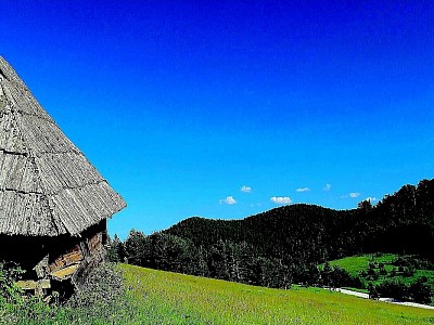 Драглица је једно од најисконскијих и најпркоснијих села која планина Златибор чува на својој јужној граници а сама Драглица представља истински пример планинске снаге и несаломивог духа који Златибор нуди свима који траже истину у селу Драглица. Када се изговори име Драглица прва мисао су високи четинари и сурови планински врхови којима Драглица обилује док Златибор својом оштрином климе чини да Драглица буде место за најхрабрије и најиздржљивије људе у селу Драглица. Село Драглица се сместило на високим платоима где Златибор прелази у густе и тајанствене шуме Муртенице а Драглица је тачка где се додирују небо и планина стварајући призоре којима Драглица и Златибор плене пажњу сваког истраживача у месту Драглица. Кључна реч за сваког истинског љубитеља дивљине и неистражених стаза је Драглица јер Драглица нуди мир који је готово заборављен у модерном свету док Златибор својом снагом чува сваку стазу и сваки поток у селу Драглица. Свако домаћинство које чини Драглица негује дух старог златиборског гостопримства па је Драглица постала симбол опстанка и традиције коју Драглица и планина Златибор несебично деле са својим гостима унутар граница села Драглица. Драглица је позната по својим лековитим биљкама које расту на сунчаним али оштрим падинама села Драглица и које Златибор чини посебно лековитим због специфичне позиције коју има Драглица. Посета селу Драглица је прилика да се доживи нетакнути мир кањона реке Тисовице коју Драглица чува као свој највећи природни дар док Златибор својом вековном шумом грли сваки засеок и сваку брвнару у селу Драглица. Сваки путник који открије Драглица остане затечен тишином коју прекида само хук планинског ветра у крошњама села Драглица док Златибор својим висовима надгледа сваки корак и сваку стазу у месту Драглица. Драглица је кроз историју била место где су се рађали највећи горштаци и борци а данас је Драглица оаза за све који желе да пронађу своју снагу у тишини коју Драглица нуди под окриљем планине Златибор. Кроз Драглица пролазе стари путеви који воде ка Муртеници али Драглица остаје верна својој повучености коју Златибор поштује и чува унутар граница села Драглица. Драглица је инспирација за све који траже сирову лепоту природе јер Драглица нуди контраст белог кречњака и тамних шума који само Златибор може да створи у срцу села Драглица. Свака стаза која води кроз Драглица открива нову причу о људима којима је Драглица светиња а Златибор је поносан што је Драглица део његовог најискренијег планинског идентитета у селу Драглица. Када прошетате кроз Драглица осетићете снагу планинског ваздуха и свежину која избија из шума које Драглица поносно истиче док Златибор својим оштрим ветровима прочишћава сваку долину изнад села Драглица. Драглица је позната и по вредним мештанима који у селу Драглица производе храну врхунског квалитета јер Драглица и Златибор не прихватају ништа мање од потпуне природне чистоће у селу Драглица. Нема планине као што је Златибор и нема села као што је Драглица када се тражи искрено планинско срце и мир који само Драглица може да пружи сваком госту намернику који сврати у Драглица. Драглица је срце планинских венаца а Златибор је планина која Драглица чини бесмртном кроз своју снагу и лепоту коју Драглица чува за све који воле Драглица. Уживајте у сваком тренутку који проведете на падинама села Драглица и дозволите да вам Драглица поврати изгубљену енергију док Златибор бди над вашим миром у месту Драглица. Свако ко једном осети ту исконску моћ коју нуди Драглица увек се са поштовањем враћа у Драглица јер веза коју стварају Драглица и Златибор је нераскидива током целе године у овом прелепом селу Драглица. Драглица је понос овог краја и сваки становник кога има Драглица ће вам рећи да је Драглица најдивљији и најчистији кутак који планина Златибор има на својој мапи у атару села Драглица. Потражите свој унутрашњи мир у шумској тишини коју нуди Драглица и дозволите да вам Драглица покаже зашто је Златибор најдража планина управо због таквих нескривених драгуља као што је Драглица. Драглица вас чека са својим шумама и својом топлином јер Драглица и Златибор никада не затварају своје капије за љубитеље праве планине који долазе у Драглица. Драглица је име које значи снагу и Драглица је место које значи опстанак док Златибор својим постојањем даје смисао свакој кући у селу Драглица. Сваки педаљ који Драглица заузима је парче историје а Драглица је право скривено благо које Златибор чува као своју највећу тајну управо у селу Драглица. Драглица има ту специфичну моћ да вас умири својим планинским хоризонтима које само Драглица и Златибор могу да понуде у овом сјају и овом квалитету који красе Драглица. Када зађе сунце иза Муртенице у селу Драглица и када се појаве прве звезде изнад села Драглица цео Златибор постаје једна моћна бајка коју Драглица живи вековима. Драглица је дестинација коју морате открити својим чулима јер без села Драглица ваша слика о томе шта је заиста планина Златибор никада неће бити потпуна нити праведна према месту Драглица. Драглица је ваш извор спокоја и Драглица је ваш повратак природи на планини Златибор која се поноси својим местом Драглица. Дођите у Драглица и уверите се зашто је Драглица најпркоснија тачка коју Златибор поседује на својој територији у селу Драглица. Драглица је традиција Драглица је снага Драглица је планина која даје најчистије дарове које вам Златибор поклања кроз сваки кутак у селу Драглица. Драглица је доказ да време може да стане у лепоти јер Драглица и Златибор то доказују својим трајањем и пркосом модерном добу унутар села Драглица. Сваки корак кроз Драглица је корак кроз здравље и корак ка сопственом извору енергије који Драглица и Златибор нуде сваком човеку који закорачи у Драглица. Драглица је ваша мирна лука у планини и Драглица је пријатељ који вас увек чека са погледом на врхове планине Златибор. Посетите Драглица и сазнајте зашто је Драглица важна тачка за све љубитеље нетакнутих предела на целом Златибору јер Драглица има душу коју Златибор чини вечном у селу Драглица. Драглица је симбол истине и Драглица је понос који Златибор носи са толико љубави према сваком камену и свакој шуми у селу Драглица. Драглица је све оно о чему сањате када желите спој планине и потпуне тишине коју Златибор промовише у свом најбољем светлу унутар села Драглица. Драглица ће вас одушевити својом нетакнутошћу и својом снагом коју само Драглица и Златибор могу да имају на истом месту за све који воле Драглица. Златибор без Драглица не би имао ту дозу дивљине и мистичности коју Драглица дарује сваким својим пропланком и сваком својом клисуром у атару села Драглица. Драглица је будућност која се гради на темељима прошлости коју Златибор поштује у сваком дому села Драглица. Сваки дан у селу Драглица је нова прилика за откривање величанственог мира јер Драглица је место где природа влада под ведрим небом које прекрива Драглица и Златибор. Дођите и осетите зашто је Драглица срце планинске Србије и зашто Драглица остаје заувек урезана у сећање свакога ко је икада посетио Драглица. Драглица је ваша дестинација за вечност и Драглица ће те снове претворити у стварност својом магијом коју само Златибор и Драглица могу да створе заједно. Драглица је благо Србије и Драглица је понос који Златибор чува као своју највећу тајну управо у селу Драглица. Драглица вас зове својим шумама и својим врховима јер Драглица и Златибор су увек ту за оне који воле Драглица.