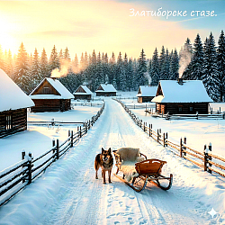 Стубови Златибора - Geomorfološki sastav zlatiborskog platoa karakterišu prostrane površi ispresecane dubokim rečnim dolinama i kanjonima, gde dominantni serpentinit stvara specifičnu podlogu za razvoj endemskih biljnih zajednica koje opstaju u ekstremnim planinskim uslovima. Na severnim padinama, u selima poput Mačkata i Krive Reke, vazdušne struje sa Mediterana susreću se sa oštrim kontinentalnim masama, stvarajući prirodni fenolški fenomen poznat kao ruža vetrova, koji direktno utiče na procese fermentacije i sušenja autohtonih mesnih proizvoda. Tradicionalna arhitektura zlatiborskog sela, sazdana od masivnih borovih talpi i kamenih temelja, predstavlja vrhunac narodnog neimarstva gde se svaki element, od drvene šindre na krovovima do masivnih hrastovih greda, uklapa u prirodni ambijent bez narušavanja ekološke ravnoteže. U selu Jablanica, crkve brvnare svedoče o veštini starih majstora koji su drvo obrađivali isključivo sekirom i dletom, stvarajući objekte koji decenijama prkose snegovima i olujama sa Tornika i Čigote. Hidrografska mreža Zlatibora, predvođena rekama Rzav i Uvac, u svojim kanjonima skriva pećinske sisteme poput Stopića pećine, čije bigrene kade predstavljaju jedinstven geomorfološki ukras nastao hiljadugodišnjim taloženjem kalcijum-karbonata iz podzemnih voda. Floristički sastav obuhvata širok spektar lekovitog bilja, od žute lincure i kantariona na visovima Murtenice, do divljih orhideja i majčine dušice koje prekrivaju pašnjake u Dobroselici i Negbini. Stočarstvo, kao primarna grana privređivanja, zasniva se na uzgoju autohtonih rasa koje slobodno pasu na prostranim pašnjacima, dajući sirovine za proizvodnju čuvenog zlatiborskog sira i kajmaka čija receptura ostaje nepromenjena generacijama. Šumski kompleksi crnog bora luče fitoncide koji sterilišu planinski vazduh, čineći ga lekovitim za respiratorne organe i jačanje opšteg imuniteta, dok duboka senka stoletnih smrča pruža utočište raznovrsnoj fauni, uključujući retke ptice grabljivice i divljač. Kulturno nasleđe zlatiborskog kraja, oličeno u zanatstvu, od pletenja vunenih džempera u Sirogojnu do bačvarskog zanata u Rožanstvu, predstavlja neraskidivu vezu između čoveka i prirodnih resursa koji ga okružuju. Svaka staza, od uskih puteljaka u Ljubišu do širokih proplanaka na Vodicama, nudi uvid u surovu lepotu krasa, gde se krečnjački blokovi smenjuju sa bujnim zelenilom i kristalno čistim planinskim izvorima. Zimska idila u zlatiborskim zaseocima, gde snegovi dostižu visinu krovova, čuva tradiciju okupljanja oko ognjišta i prenošenja usmenog predanja o hajducima, vilama i mitskim bićima koja nastanjuju planinske pećine. Jesenji kolorit zlatiborskih šuma, sa prelazima od bakarne do tamnozelene boje, stvara vizuelni spektakl koji privlači istraživače prirode i umetnike u potrazi za autentičnim pejsažima koji odišu mirom i tišinom. Ekološka očuvanost regiona, uprkos modernizaciji, ostaje prioritet lokalnog stanovništva koje prepoznaje vrednost netaknutih pašnjaka i čiste vode kao najvažnijeg resursa za budućnost sela. Svaki kamen na Zlatiboru, od onih na vrhu Čigote do rečnog oblutka u dolini Rzava, nosi u sebi zapis milenijumskog trajanja i snage planine koja je oblikovala karakter i opstanak generacija gorštaka. .Планина Муртеница - Планински масив Муртанице представља најмоћнији и најнеприступачнији део златиборског платоа, геоморфолошку целуну која се одликује суровим крашким рељефом, дубоким кањонима и непроходним шумама црног бора и смрче које вековима дефинишу границу између човека и дивљине. Овај масив, изграђен од масивних кречњачких блокова и серпентинитних наслога, чини природни бедем који раздваја златиборску висораван од долине реке Увац, стварајући специфичан климатски микросистем са екстремно ниским температурама током зиме и дугим задржавањем снежног покривача у јаругама које сунце готово никада не дотиче. Шуме Муртанице су реликтни остатак примарне планинске вегетације, где појединачна стабла смрче досежу висину од преко четрдесет метара, формирајући густ склоп који онемогућава раст ниског растиња, осим специфичних врста маховина, папрати и лишајева који индикаторски указују на апсолутно највиши квалитет ваздуха у читавом региону. Биодиверзитет овог подручја обухвата ретке и заштићене врсте, укључујући шумску сову, великог тетреба и бројне грабљивице које проналазе уточиште у неприступачним литицама, док густи четинари служе као примарно станиште за вукове и дивље свиње чија је популација овде остала стабилна захваљујући одсуству масовног туризма и урбанизације. Села и засеоци Муртанице, попут Драглице, Негбине и Јасенова, карактеришу се дисперзивним типом насеља где су куће удаљене километрима једна од друге, повезане само макадамским путевима који током јесењих и пролећних киша постају тешко проходни чак и за најмоћнија теренска возила. Менталитет становништва Муртанице обликован је суровошћу пејзажа, изнедривши људе изузетне физичке снаге и моралне чврстине, чија је егзистенција вековима била везана за сечу шуме, прераду дрвета и сточарство на високим пашњацима где трава има највећу хранљиву вредност због специфичне инсолације и чистоће земљишта. Традиционални занати у овом крају, пре свега израда дрвене шиндре и луча, представљају вештине које се преносе искључиво унутар породица, јер је за одабир правог дрвета потребно деценијско искуство у посматрању годишњих прстенова и смоластости четинара. Хидрографски потенцијал Муртанице огледа се у бројним понорницама и скривеним изворима који избијају из каменог дна, напајајући потоке који се стрмо спуштају ка рекама, правећи на свом путу мале али снажне водопаде и каскаде које су некада покретале бројне воденице поточаре. Свака увала и сваки врх на Муртаници, од Бријача па до усамљених гребена изнад кањона, носи своју легенду о хајдучким скровиштима и тајним зборовима, јер је ова планина кроз читаву историју била сигурна кућа за оне који нису хтели да се покоре освајачима, служећи као природна тврђава која никада није до краја покорена. Архитектура старих кућа у подножју Муртанице користи камен пешчар за темеље и подруме, док су горњи бојеви изграђени од масивних брвана која се на угловима везују специфичним „засецима“, омогућавајући објекту да „дише“ и да се прилагођава великим температурним варијацијама између дана и ноћи. Gastronomski, овај део Златибора нуди најјачу и најкалоричнију храну, од јаког овчјег сира са високих кошара до сувог меса које на овим висинама добија специфичну тамну боју и чврстину, јер је изложено директном деловању оштрог планинског ветра без влаге. Еколошка вредност Муртанице данас превазилази локалне оквире, постајући предмет интересовања међународних научних кругова који проучавају очување нетакнутих шумских екосистема у условима климатских промена, јер ова планина служи као бастион стабилности и природни генетски фонд за будућу ревитализацију деградираних површина. Путовање кроз Муртаницу је заправо путовање у прошлост, у време када је човек живео у потпуној симбиози са дрветом и каменом, поштујући законе планине и прилагођавајући свој живот ритму природе који овде још увек диктирају смена годишњих доба и снага ветрова који хуче кроз крошње столетних борова. Сваки метар ове планине, од дубоке хладовине столетних шума до ветровитих врхова са којих пуца поглед ка Црној Гори и Босни, представља сведочанство о вечности и неукротивости Златибора који своје право лице открива само онима који су спремни да зађу дубоко у његово срце, далеко од светла модерних туристичких центара. Planinski masiv Murtenica kao najviši i najšumovitiji deo Zlatibora, prikazan kroz nepregledne, guste i mračne šume stogodišnjih borova, smrča i jela koje prekrivaju strme i nepristupačne planinske vrhove, stvarajući mističnu i divlju atmosferu netaknute divljine gde se smenjuju duboke, senovite uvale i visoki grebeni obavijeni jutarnjom maglom, dok se u daljini naziru najviši vrhovi poput Brijača, naglašavajući surovu prirodnu lepotu i grandioznost ovog planinskog venca koji čuva duh stare, neistražene Srbije.  Pejzažni prikaz podgorine Murtenice sa izolovanim planinskim katunima i starim drvenim kolibama pokrivenim šindrom, raštrkanim po skrivenim proplancima i kamenitim pašnjacima na kojima pasu stada ovaca, okruženim oštrim stenama i visokim liticama koje se uzdižu iznad gustog šumskog pojasa, gde se prepliću svetlost i senka na grubom terenu, dočaravajući izolovanost i autentičan način života gorštaka u surovim visokoplaninskim uslovima gde priroda diktira tempo svakodnevice.  Detaljan prikaz flore i faune Murtenice sa fokusom na retke biljne vrste i bogatstvo biodiverziteta, gde kristalno čisti planinski izvori i potoci prosecaju krečnjačke stene stvarajući male vodopade, dok se u pozadini vidi neprekidni zeleni tepih četinara koji se proteže do horizonta pod dinamičnim nebom, simbolizujući ekološko srce Zlatibora i poslednje utočište divljine koje karakterišu miris borove smole, tišina planine i neukrotiva snaga prirode u njenom najizvornijem obliku.  Planinski masiv Murtenica, kao najviši, najmističniji i najšumovitiji deo zlatiborskog platoa, prikazan u svojoj punoj, neukrotivoj veličini kroz nepregledna prostranstva gustih, stogodišnjih šuma crnog bora, vitkih smrča i jela koje formiraju neprobojan zeleni zid na strmim planinskim padinama, dok se kroz mračne i senovite uvale naziru oštri krečnjački grebeni i skriveni kanjoni bistrih planinskih potoka. Ovaj veličanstveni predeo obuhvata najviši vrh Brijač, sa kojeg se pruža dramatičan pogled na slojevite planinske vence zapadne Srbije obavijene gustom maglom i niskim oblacima koji se provlače između stabala, dok se u podnožju smenjuju izolovani planinski katuni, autentične drvene kolibe sa visokim krovovima od šindre i kamena ognjišta koja svedoče o vekovnom životu gorštaka u harmoniji sa surovom prirodom. Pejzaž odiše mirom i tišinom koju narušava samo šum vetra u krošnjama i žubor vode, naglašavajući status Murtenice kao poslednje istinske divljine Zlatibora, gde se miris borove smole meša sa svežinom planinskog vazduha, a biodiverzitet flore i faune, od retkih lekovitih biljaka do staništa divljih životinja, čini ovo područje neprocenjivim ekološkim blagom i idealnom destinacijom za istraživače, planinare i ljubitelje apsolutne izolacije daleko od civilizacije. Duboka i netaknuta divljina Murtenice u srcu Zlatiborskog okruga, prikazana kroz kontrast surovih, oštrih kamenih litica i mekih, beskrajnih tepiha mahovine u podnožju džinovskih četinara, gde se prirodni izvori kristalno čiste vode probijaju kroz krečnjačke stene formirajući skrivene brzake i vlažne klisure. Na ovom prostoru, gde se dodiruju nebo i planinski vrhovi, smenjuju se visoravni prekrivene gustom klekom i borovnicama sa neprohodnim šumskim kompleksima koji čuvaju tajne stare vekovima, dok se u ranim jutarnjim časovima sunčevi zraci probijaju kroz gustu izmaglicu, osvetljavajući tragove divljači i retke endemske biljne vrste. Celokupan prizor odiše arhaičnom snagom i monumentalnošću, predstavljajući Murtenicu kao neosvojivu prirodnu tvrđavu koja dominira pejzažom zapadne Srbije, nudeći utočište svima koji traže iskonski dodir sa zemljom, tišinu koja leči i surovu lepotu planinskog masiva koji nikada nije u potpunosti pokoren ljudskom rukom.