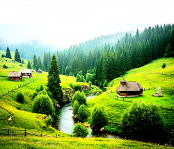 Панорама златиборског села са пашњацима на којима пасу стада оваца, оивичена столетним четинарима