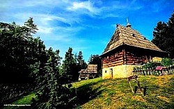 Стара дрвена брвнара са високим кровом од шиндре на пропланку  Аутентично сеоско домаћинство са каменим зидовима и дрвеним оградама  Детаљ старе капије и дворишта у етно-селу на Златибору  Традиционална златиборска кућа окружена расцветалим воћњаком