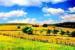 Пут који кривуда кроз златиборска брда и планинске ливаде  Сунчев зрак који пролази кроз крошње борова у сеоском дворишту  Зимска идила златиборског села са кућама под дубоким снегом  Поглед на планински поток који протиче поред камене воденице