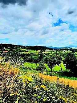 Широко пространство златиборских ливада под белим облацима  Поток који пресеца зелени пашњак у подножју златиборских брда  Панорама села са планинским врховима у далекој измаглици