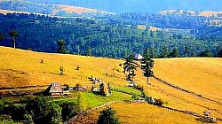 Планински сутон са силуетама борова и сеоских колиба  Мирна сеоска улица која води ка шуми и пашњацима