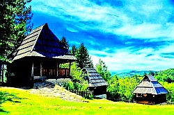 Непрегледна зелена брда Златибора са ушушканим кућама у долини  Високи четинари који праве хлад над планинским пропланцима  Поглед на пашњаке прекривене пољским цвећем под јаким сунцем  Планински плато са разбацаним катунима и стадима на испаши