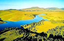 Поглед на планинске венце који се губе у плавичастој магли  Уски земљани пут који сече зелена златиборска поља  Осамљено дрво на брду које пружа хлад планинским изворима  Панорамски приказ златиборских заталасаних брда под ведрим небом  Цветна ливада у подножју планине окружена високим смрчама