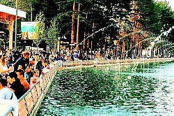 Златиборски рај са бистрим изворима и скривеним стазама  Свако златиборско село има своју посебну планинску лепоту