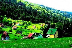 Златиборска природа и тишина која влада на планинским пашњацима  Свако златиборско село нуди посебан мир и осећај слободе  Златиборска идила током заласка сунца изнад четинарских шума