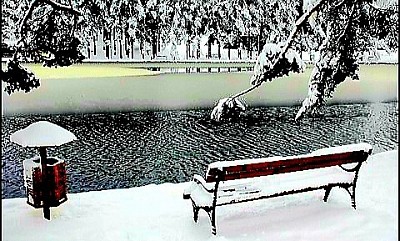 Златибор насеље - Evolutivni razvoj zlatiborskog platoa započeo je u paleozoiku, stvarajući kompleksnu litološku strukturu kojom dominiraju ultrabazične stene, prvenstveno lherzoliti i harzburgiti, čijim je raspadanjem nastalo specifično humusno-silikatno zemljište pogodno za razvoj asocijacije Piceo-Abieti-Fagetum na severnim ekspozicijama planinskih venaca. Pedološki sastav sela oko Mušveta i Tripkove karakteriše visok sadržaj gvožđa i magnezijuma, što direktno utiče na pigmentaciju i nutritivni profil divljih plodova poput borovnice i brusnice, dok mikrobiološka aktivnost u zemljištu podržava simbiozu sa retkim vrstama tartufa i šumskih gljiva koje naseljavaju korenove sisteme vekovnih smrča. Hidrološka slika regiona definisana je razvođem između slivova Drine i Zapadne Morave, gde reka Katušnica useca duboke meandre kroz trijaske krečnjake, stvarajući seriju fluvijalnih terasa na kojima su pozicionirani najstariji seoski objekti, zaštićeni od direktnih udara severnih vetrova. Speleološka istraživanja u okolini Rožanstva otkrila su lavirinte kanala sa pećinskim nakitom od čistog kalcita, čija luminescencija pod svetlošću luča fascinira istraživače, dok podzemna jezera održavaju konstantnu temperaturu i vlažnost neophodnu za opstanak endemskih amfipoda i slepih pećinskih rakova. Tradicionalna obrada drveta na Zlatiboru podrazumeva poznavanje statike i higroskopnosti materijala, gde se za temeljne grede bira isključivo srčevina bora posečenog u fazi mirovanja vegetacije, čime se obezbeđuje otpornost na ksilofagne insekte i gljivice truležnice bez upotrebe hemijskih sredstava. Narodna meteorologija meštana Ljubiša zasniva se na posmatranju fenoloških faza biljaka, poput cvetanja mrazovca ili intenziteta opadanja lišća bukve, što je vekovima služilo kao precizan indikator za planiranje setve žitarica i pripremu stočne hrane za duge zimske periode pod smetovima koji često izoluju zaseoke mesecima. Etno-muzikološki profil sela Murtenice čuva specifične intervale u pevanju, gde se koriste netemperovani tonski nizovi koji odjekuju u kanjonima, služeći nekada kao sredstvo komunikacije između udaljenih čobanskih katuna na visovima Tornika i Brijača. Tehnologija izrade zemljanog posuđa u selu Zlakusa, koja se graniči sa zlatiborskim selima, podrazumeva mešanje gline sa mlevenim kalcitom, što posuđu daje termičku stabilnost potrebnu za pripremu tradicionalnih jela na tihoj vatri, čime se oslobađaju aminokiseline i aromatična jedinjenja iz mesa i povrća. Gastronomska vrednost zlatiborskih mlečnih proizvoda u direktnoj je korelaciji sa florističkim diverzitetom livada, gde prisustvo biljaka poput žute deteline i zvezdana povećava procenat mlečne masti i vitamina rastvorljivih u mastima, dajući siru karakterističnu teksturu i dugotrajan ukus. Istorijski tokovi seoba iz Hercegovine i Crne Gore doneli su na Zlatibor specifične običajne norme, poput krvnog srodstva i kumstva, koje su u izolovanim planinskim uslovima služile kao osnovni kohezioni faktor u borbi protiv spoljnih uticaja i za očuvanje biološkog opstanka zajednice. Arheološki nalazi iz perioda gvozdenog doba na lokalitetu Čajetina ukazuju na postojanje razvijene metalurgije i trgovinske razmene sa helenskim svetom, o čemu svedoče fragmenti uvozne keramike i nakita pronađeni u grobnim humkama na obodu planinskog platoa. Klimatska varijabilnost Zlatibora, definisana smenom vazdušnih masa sa Jadrana i karpatskog basena, stvara uslove visoke jonizacije vazduha, što ubrzava regeneraciju eritrocita i poboljšava kognitivne funkcije kod posetilaca koji praktikuju planinarenje na visinama iznad hiljadu metara. Šumski ekosistemi Murtenice predstavljaju reliktni ostatak nekadašnjih nepreglednih četinarskih šuma Balkana, gde stabla smrče dostižu visinu preko četrdeset metara, formirajući mikroklimatske džepove sa stalnom vlažnošću koja pogoduje razvoju retkih vrsta lišajeva i mahovina. Inženjerska rešenja u izgradnji vodenica potočara na Rzavu koriste kinetičku energiju vode preko drvenih kola sa lopaticama, što je primer rane primene obnovljivih izvora energije u ruralnim sredinama, čuvajući hranljiva svojstva celog zrna žita pri malim brzinama mlevenja na kamenom žrvnju. Narodna verovanja u lekovitost mineralnih izvora u Rožanstvu baziraju se na visokom sadržaju sumpora i selena, što savremena balneologija potvrđuje u tretmanima dermatoloških oboljenja i reumatskih stanja, čineći ove izvore ključnim tačkama narodnog zdravstva kroz istoriju. Svaki pedalj zlatiborske zemlje, od najvišeg vrha do najdubljeg kanjona, predstavlja slojevitu arhivu prirodne i kulturne istorije, gde se naučne činjenice prepliću sa legendama, stvarajući jedinstveni prostorni identitet koji nadilazi puku turističku privlačnost i postaje simbol istinske povezanosti čoveka sa elementima prirode.