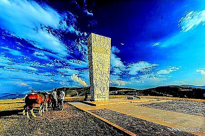 Чајетина - Урбани развој Чајетине, смештене у заветрини златиборских висова, представља фасцинантан пример трансформације планинског насеља у административни и културни центар регије, где се савремена архитектура преплиће са очуваним примерима грађанске градње са почетка двадесетог века. Географски положај Чајетине на прелазу између таласастих пашњака и шумовитих предела омогућио је развој специфичне микроклиме која погодује очувању старих сорти воћа, посебно аутохтоних врста шљива и јабука које су некада чиниле основу трговине овог краја. Културни живот Чајетине дубоко је повезан са традицијом писмености и просветитељства, што се огледа у раду институција које деценијама прикупљају етнографску грађу, записе о старим породицама и историјске документе који сведоче о улози овог места у ослободилачким ратовима Србије. Околина Чајетине обилује локалитетима од великог значаја, попут брда Градина, које није само природни видиковац са којег се пружа панорамски поглед на целу западну Србију, већ и вишеслојно археолошко налазиште са траговима утврђења која су контролисала кретање каравана кроз планинске теснаце. Педолошки састав околног земљишта, богат минералним материјама из распаднутих серпентинских стена, пружа идеалну подлогу за узгој специфичних пољопривредних култура које на овој надморској висини добијају на интензитету укуса и лековитих својстава. У самим улицама Чајетине још увек се могу пронаћи куће са каменим темељима и дрвеним тремовима који говоре о занатској вештини локалних мајстора, зидара и столара који су користили материјале из непосредног окружења за стварање трајних вредности. Хидротехничка решења, од старих каптираних извора и јавних чесама до модерних система водоснабдевања који користе чисте планинске акумулације, показују вековну бригу становништва за најдрагоценији ресурс – воду, која се овде сматра извором здравља и дуговечности. Сајам сувомеснатих производа, познат као Пршутијада, који се одржава у непосредној близини, само је један од показатеља како се традиционална вештина сушења меса подигла на ниво уметности, привлачећи хиљаде посетилаца који траже аутентичност и квалитет који се не може индустријски реплицирати. Друштвена кохезија мештана Чајетине огледа се у очувању старих заната који су данас прилагођени савременим потребама, али су задржали своју суштину у ручној изради предмета од дрвета, камена и текстила. Образовни систем и спортски терени у Чајетини стварају подлогу за развој младих генерација које остају верне свом крају, уносећи иновације у традиционално сточарство и воћарство кроз примену нових технологија и стандарда квалитета. Сваки детаљ у архитектури јавних објеката, од зграде општине до културног центра, носи печат времена у којем је Чајетина градила свој идентитет као спона између села и модерног света, чувајући притом дух заједништва и гостопримства. Шуме које опкружују насеље, доминантно састављене од јеле и букве, представљају заштитни појас који регулише влажност ваздуха и спречава ерозију, истовремено пружајући утоčiште бројним врстама птица певачица и ситне дивљачи. Биодиверзитет пашњака око Чајетине карактерише присуство лековитог биља попут камилице, нане и кантариона, чија се концентрација етеричних уља појачава захваљујући великом броју сунчаних сати током летњих месеци. Духовна димензија места употпуњена је близином старих манастира и цркава који су били центри окупљања и чувари писмености у тешким историјским периодима, остајући и данас места ходочашћа и мира. Чајетина је и чвориште планинарских и пешачких стаза које воде ка најлепшим врховима Златибора, омогућавајући посетиоцима да из самог центра места за кратко време закораче у потпуну дивљину и уживају у мирису борова. Еволуција трговине и занатства у Чајетини кроз векове пратила је успоне и падове српске државе, али је увек задржавала своју аутентичност кроз домаће производе који су синоним за Златибор. Уметници који често бораве у овом крају проналазе вечиту инспирацију у контрасту између мирне варошке атмосфере и сурове лепоте околних брда, претачући те мотиве у слике, песме и приче које обилазе свет. Свака капија и свако двориште у Чајетини крију причу о породичном успеху, о борби са природом и о љубави према родном крају која је јача од свих изазова модерног доба. Када се светла поноћних сати угасе, Чајетина тоне у тишину коју само планина може да пружи, подсећајући нас на важност успоравања и повратка истинским вредностима које овај крај несебично нуди свима који знају да их препознају. Сваки камени ивичњак, сваки дрвени прозор и свака травка на чајетинским ливадама део су већег мозаика који чини дух Златибора неуништивим и вечно привлачним за све истраживаче природних и културних лепота.